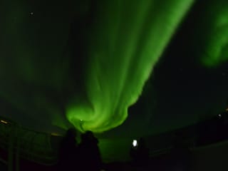 Reykjavík Whales & Northern Lights, photo 19