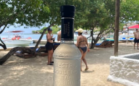 Private Day Trip to the Rosario Islands from Cartagena
