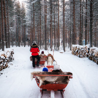 Reindeer Path – A 400-Meter – CH