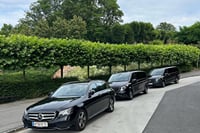 Bratislava and Devin Castle private tour from Vienna 4
