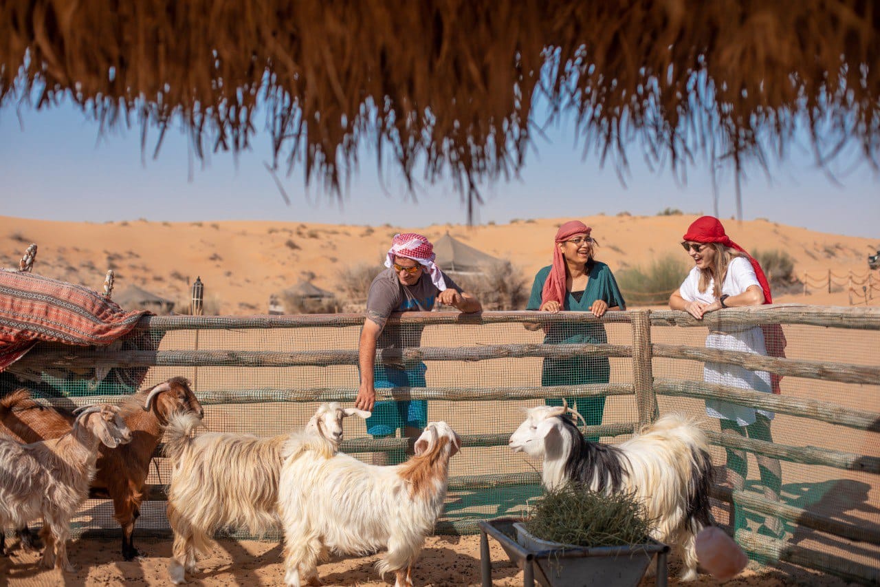 Dubai Morning Heritage Falconry & Nature Safari 5