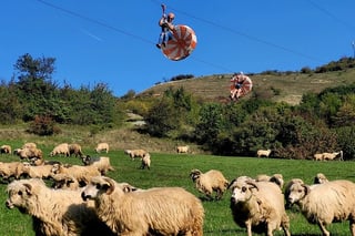 CLUJ ADVENTURE TOUR ! ZIP LINE and HIKE