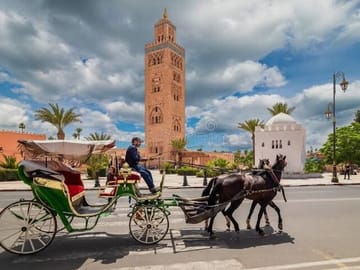 Private One-Hour Horse Carriage Tour in Marrakech Medina