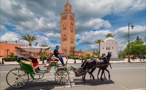 Private One-Hour Horse Carriage Tour in Marrakech Medina