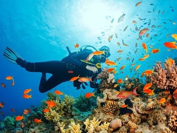 Snorkeling and Diving to Ras Mohamed And White Island by VIP Boat
