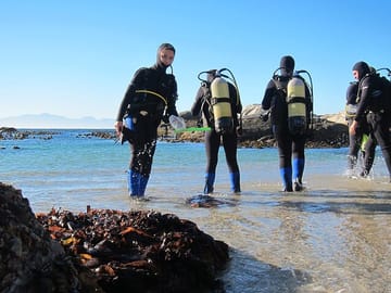 Beach Diving Experience in Sharm El Sheikh with Transfer