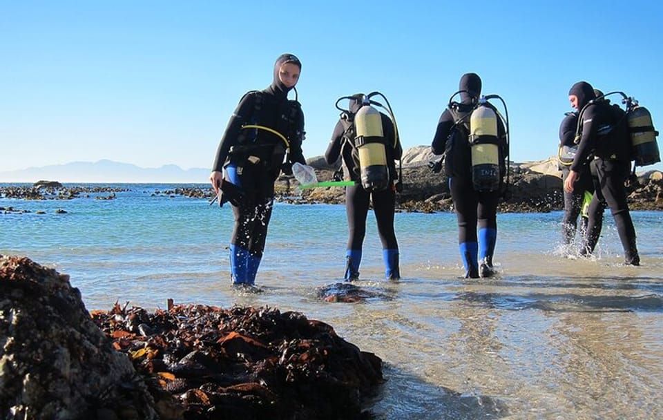 Beach Dive with Transfer – Sharm El Sheikh