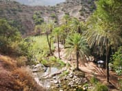 Paradise valley & Sand dunes - daily trip 2