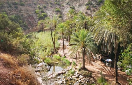 Paradise Valley and Sand Dunes Day Trip from Agadir