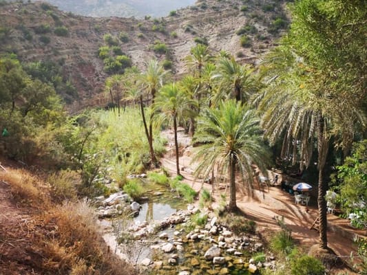 Paradise valley & Sand dunes - daily trip from Taghazoute
