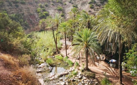 Paradise Valley and Sand Dunes Day Trip in Agadir