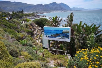 Private Whale Watching Tour in Betty's Bay from Cape Town