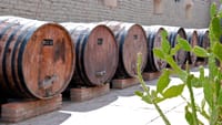 Cafayate, Vineyards and Calchaquies Valleys Tour from Salta 6