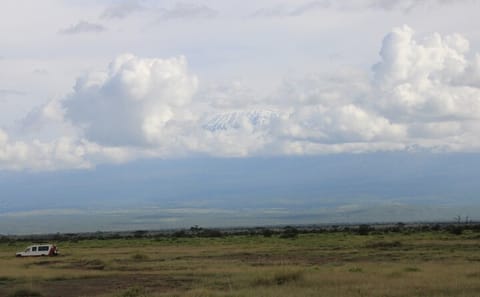 3 Days 2 Nights Private Amboseli Safari
