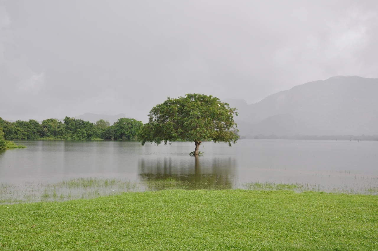 Habarana Adventure Day Tour 4