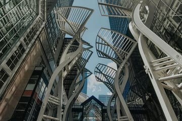 Yamnuska Wolfdog Sanctuary and Calgary City tour