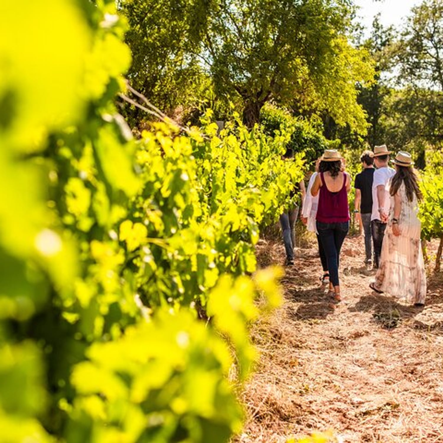Montserrat Full Day Tour with Farmhouse Lunch and Winery Experience