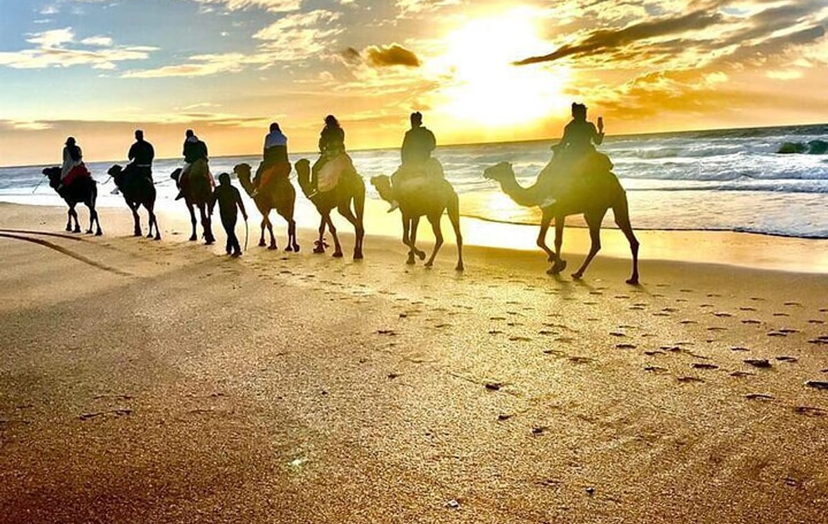 Málaga to Tangier Luxury VIP Tour All Inclusive