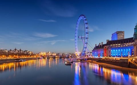 Private Layover Tour of London Landmarks from Heathrow