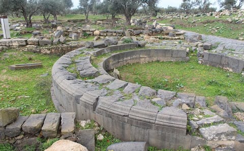 Private Day Tour to Jerash, Ajloun, and Umm Qais from Amman