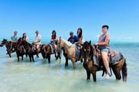 Saddle up for an unforgettable adventure! Join our group ride along stunning beaches, where the crystal-clear waters meet golden sunsets.