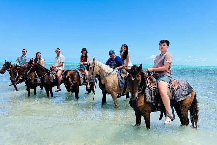 Saddle up for an unforgettable adventure! Join our group ride along stunning beaches, where the crystal-clear waters meet golden sunsets.