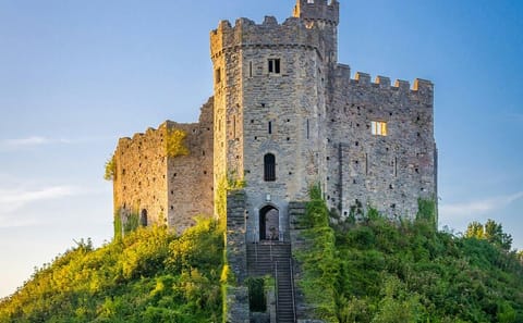 Private 5-Hour Cultural Tour of Cardiff with Castle Entry