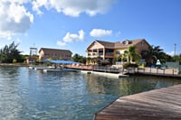 Dolphin Royal Swim at Dolphin Discovery Grand Cayman 3