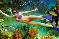 Snorkeling Tour in Puerto Morelos  9
