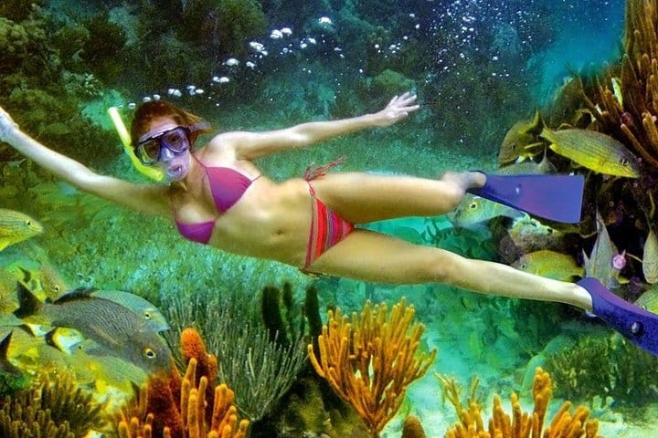 Snorkeling Tour in Puerto Morelos  9