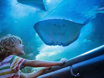 Antalya Aquarium and Fun Park Tour with Hotel Pickup
