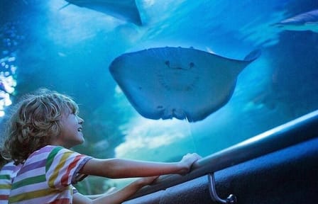Antalya Aquarium and Fun Park Tour with Hotel Pickup