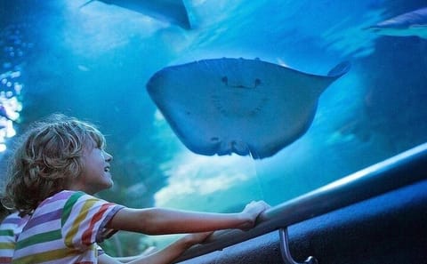 Antalya Aquarium and Fun Park Tour with Hotel Pickup