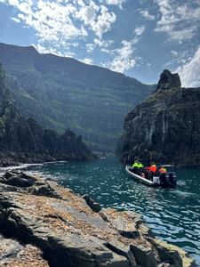 Puffin Quest - Nature & Wildlife RIB safari