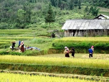 Authentic Sapa Trekking With Local Family Homestay (2d1n by bus)