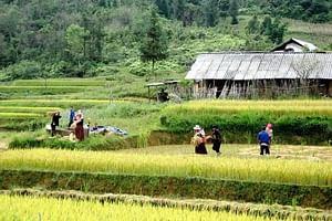 Authentic Sapa Trekking With Local Family Homestay (2d1n by bus)