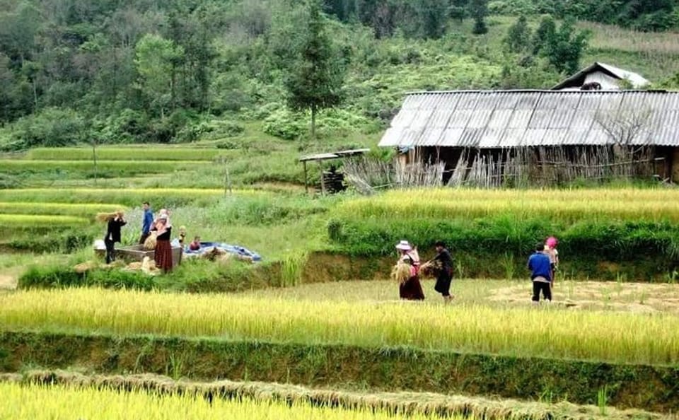 Authentic Sapa Trekking With Local Family Homestay (2d1n by bus)