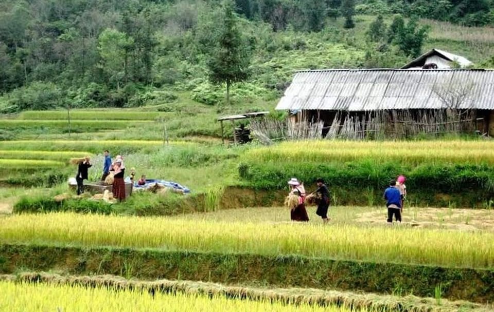 Authentic Sapa Trekking With Local Family Homestay (2d1n by bus)
