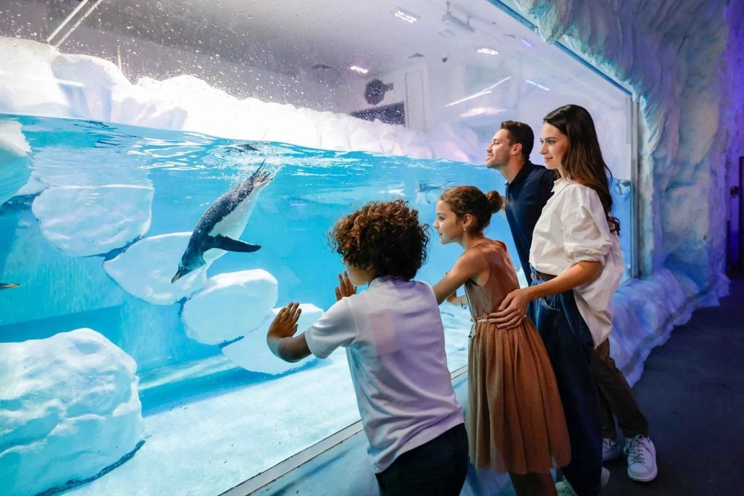 Dubai Aquarium and At the Top Burj Khalifa Tickets