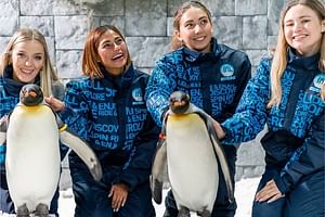 Ski Dubai Tickets