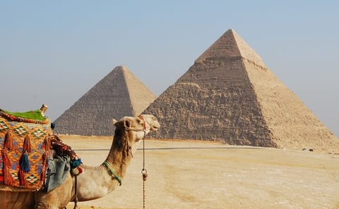 Half-Day Tour of the Great Pyramids and Sphinx in Cairo