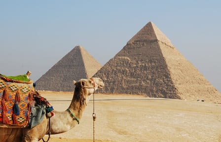 Half-Day Tour of the Great Pyramids and Sphinx in Cairo