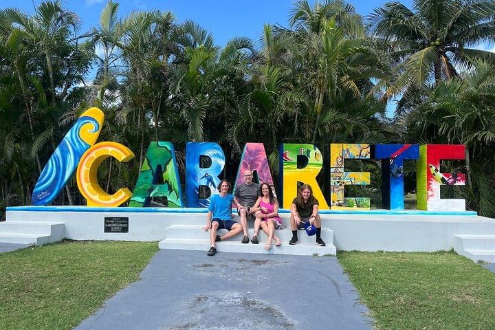 Damajagua Waterfalls and Monkey Private Van Tour