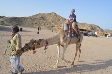 Desert Quad and Camel Safari with BBQ Dinner in Hurghada