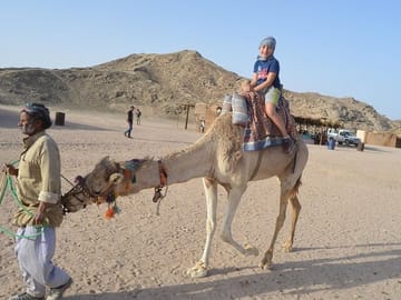 Hurghada: Quad, Jeep, Camel and Buggy Safari with BBQ Dinner