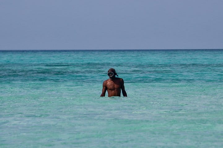 Private Full-Day Cruise on Sandbank and Kwale Island 5