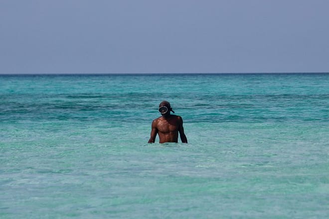 Private Full-Day Cruise on Sandbank and Kwale Island photo 5