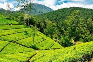 05 Day Tour From Kandy Sri Lanka ( Without Accommodation)