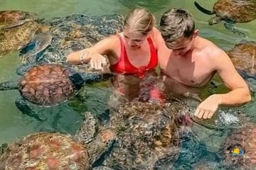 Nungwi Village Tour, Kilosa Zoo and Swim with Turtles Baraka