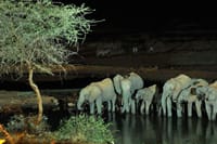 Watering hole at Kilaguni Serena